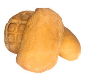 panini
